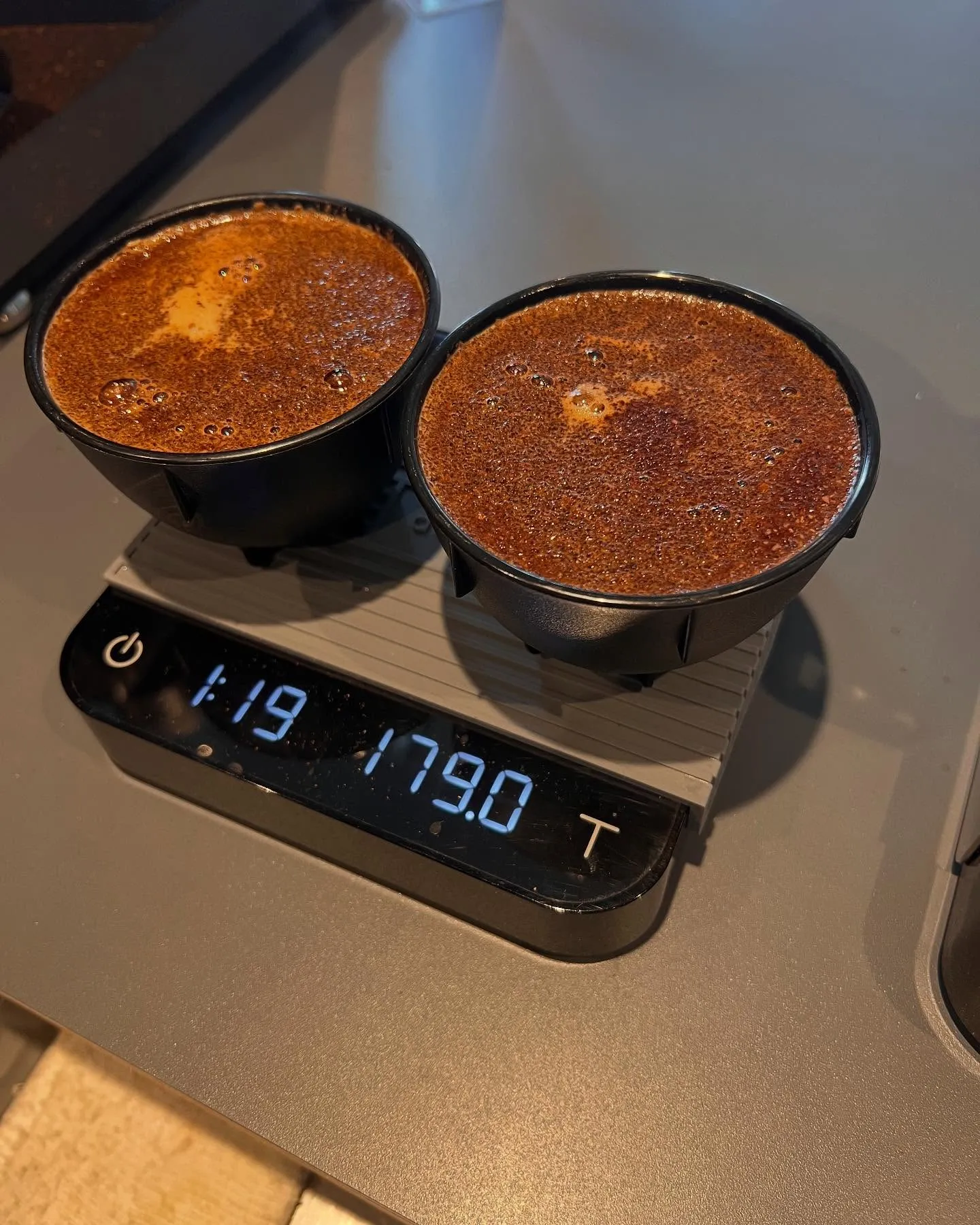 来週末くらいから新しく仲間入りいたしますコーヒーたちです。