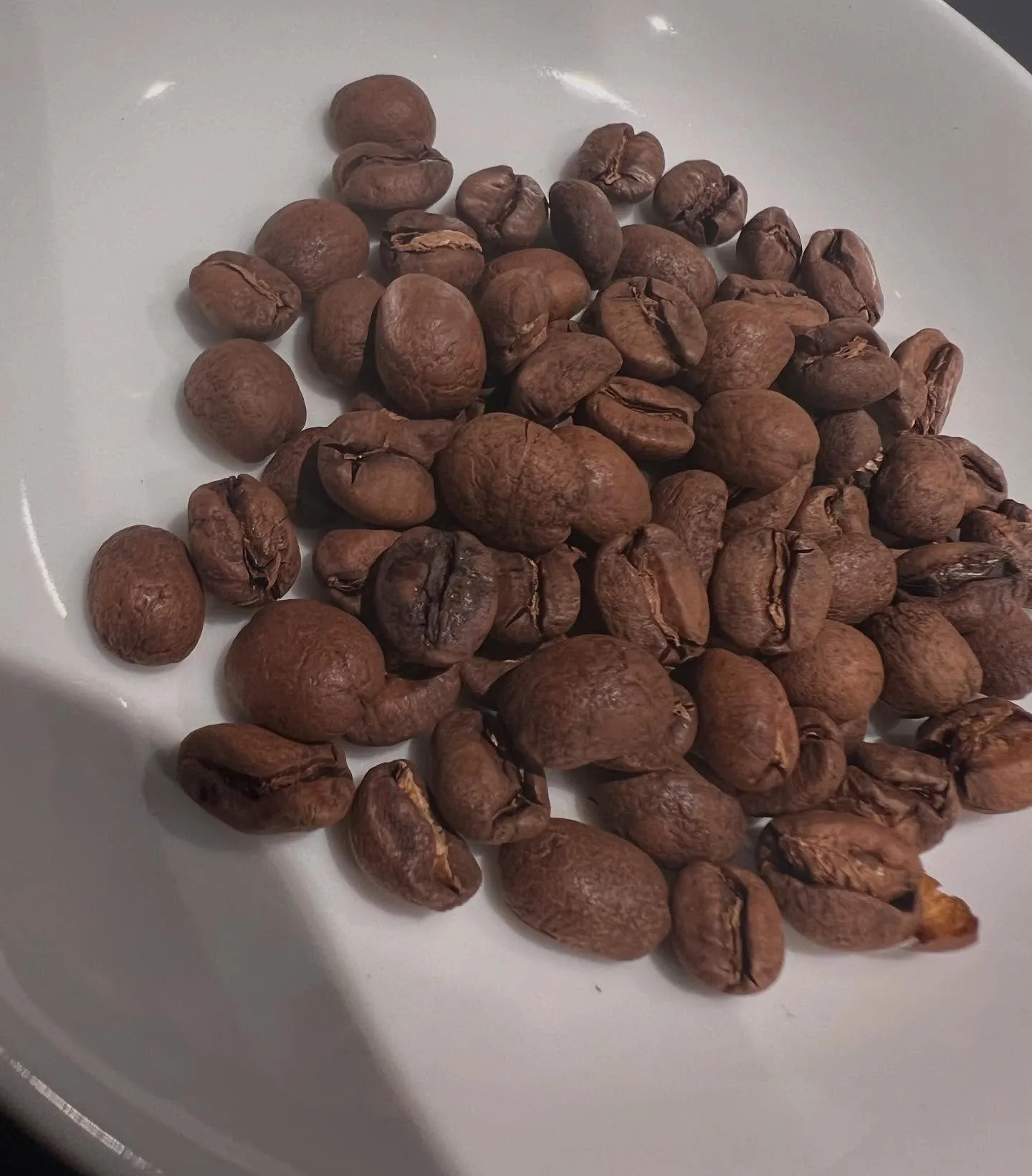 コスタリカ レットハニー