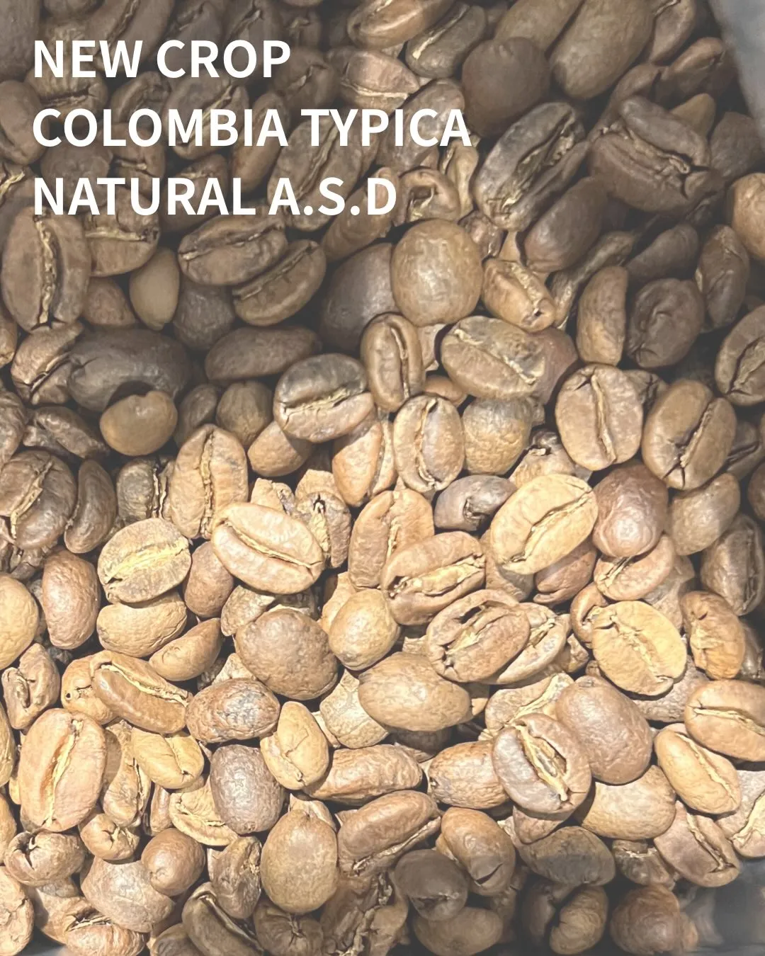 New Crop / Colombia Typica Nat...