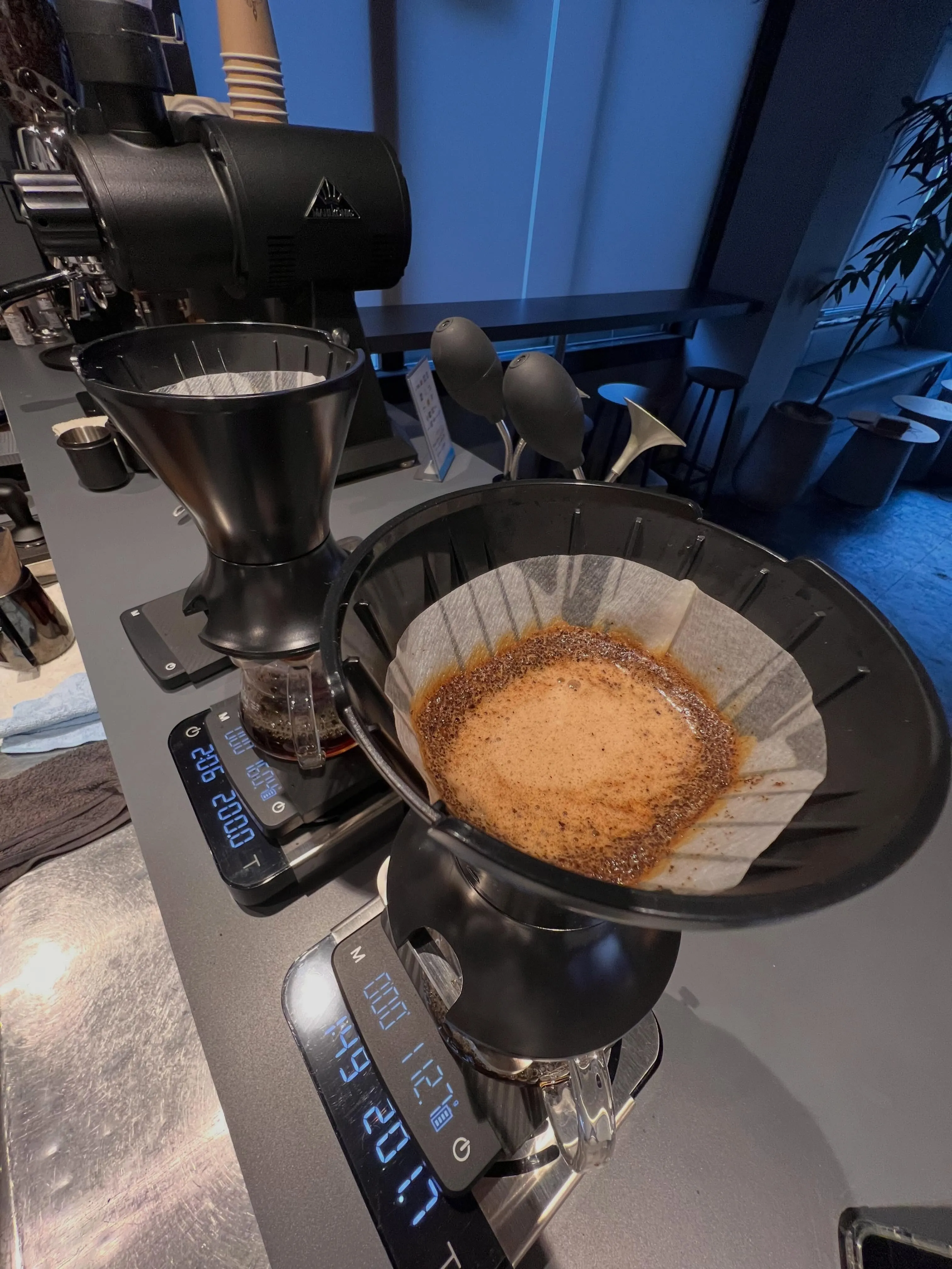 コーヒーの概念が、静かに覆るかもしれません。