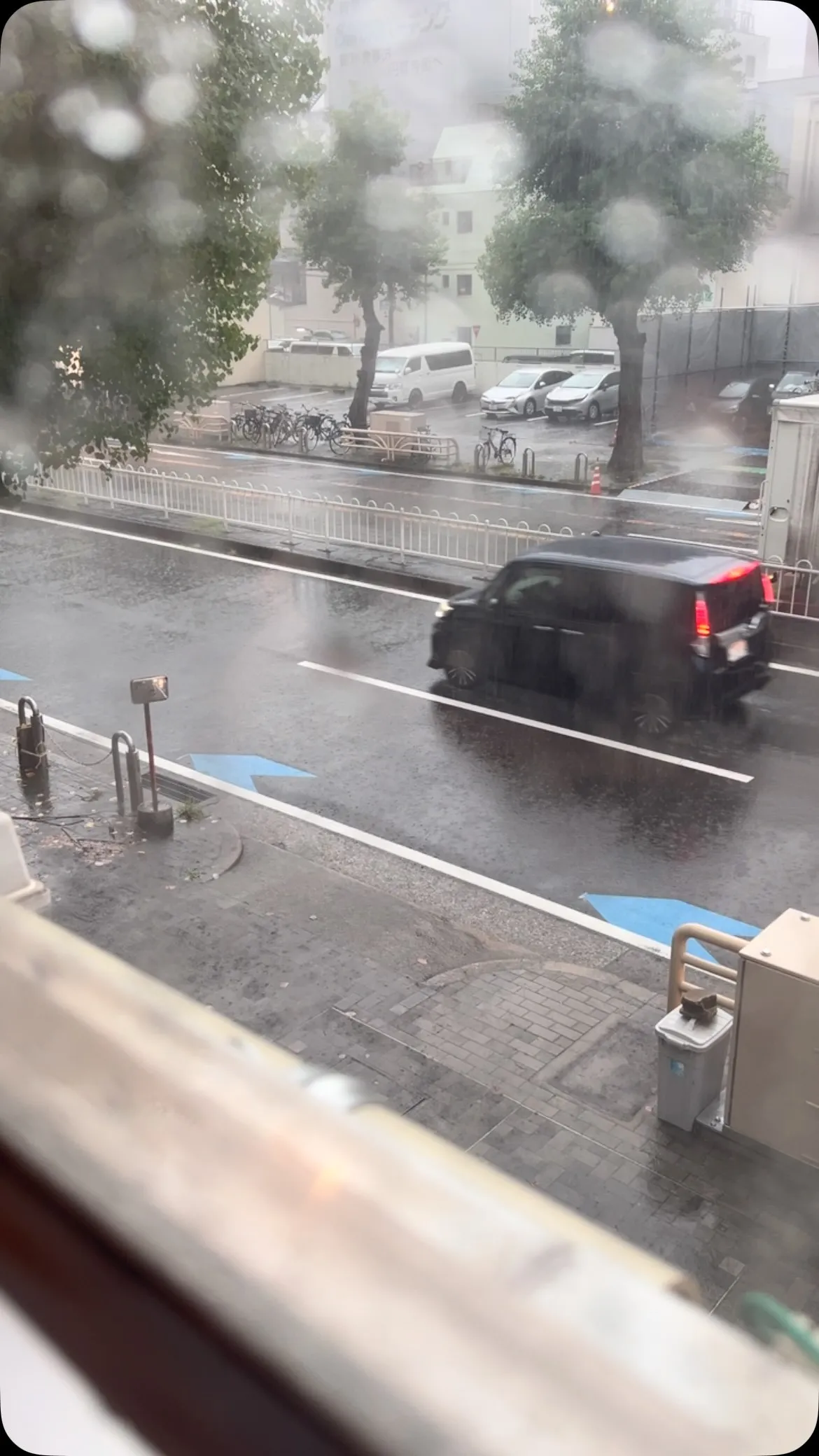 店の前の水抜けがいいのか少し高いのか、ずっと変わらないから気...